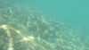 20140926-00006-frame0005.jpg