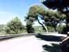 20140929-PICT0004-frame0002.jpg