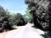 20140929-PICT0052-frame0002.jpg