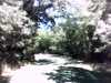 20140929-PICT0054-frame0002.jpg