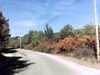 20140929-PICT0056-frame0002.jpg