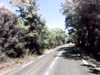 20140929-PICT0065-frame0001.jpg