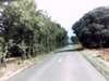 20140929-PICT0081-frame0001.jpg