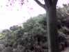 20140929-PICT0095-frame0002.jpg