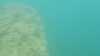 20140929-00001-frame0001.jpg