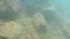20140929-00003-frame0001.jpg