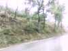 20140930-PICT0007-frame0002.jpg