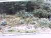 20141001-PICT0003-frame0001.jpg