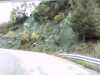 20141001-PICT0010-frame0002.jpg
