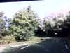 20141001-PICT0028-frame0002.jpg
