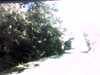 20141001-PICT0029-frame0002.jpg