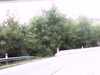 20141001-PICT0053-frame0001.jpg