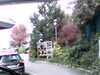 20141001-PICT0099-frame0002.jpg