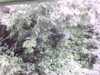 20141001-PICT0102-frame0002.jpg