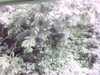 20141001-PICT0103-frame0001.jpg