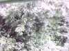 20141001-PICT0104-frame0001.jpg