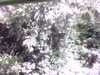 20141001-PICT0104-frame0002.jpg