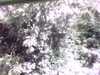 20141001-PICT0105-frame0001.jpg