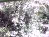 20141001-PICT0105-frame0002.jpg