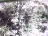 20141001-PICT0106-frame0001.jpg