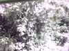 20141001-PICT0106-frame0002.jpg