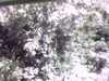 20141001-PICT0107-frame0001.jpg