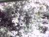 20141001-PICT0107-frame0002.jpg