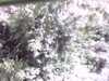 20141001-PICT0108-frame0001.jpg