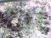 20141001-PICT0109-frame0001.jpg