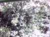20141001-PICT0109-frame0002.jpg