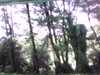 20141001-PICT0124-frame0001.jpg