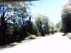 20141001-PICT0134-frame0001.jpg