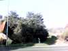 20141002-PICT0008-frame0001.jpg