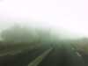 20141002-PICT0018-frame0001.jpg