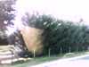 20141002-PICT0090-frame0002.jpg