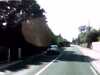 20141002-PICT0138-frame0001.jpg