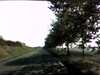 20141003-PICT0084-frame0002.jpg