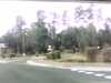20141003-PICT0093-frame0002.jpg