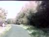 20141003-PICT0151-frame0001.jpg