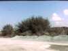 20141003-PICT0157-frame0001.jpg
