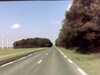 20141003-PICT0159-frame0002.jpg