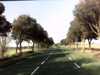 20141003-PICT0179-frame0001.jpg