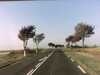20141003-PICT0179-frame0002.jpg