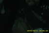 20141011-MOVI0005-frame0004.jpg