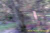 20141011-MOVI0005-frame0008.jpg