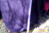 20141011-MOVI0005-frame0009.jpg