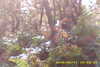 20141011-MOVI0005-frame0013.jpg