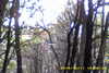 20141011-MOVI0005-frame0016.jpg