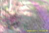 20141011-MOVI0005-frame0023.jpg