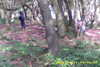 20141011-MOVI0006-frame0004.jpg